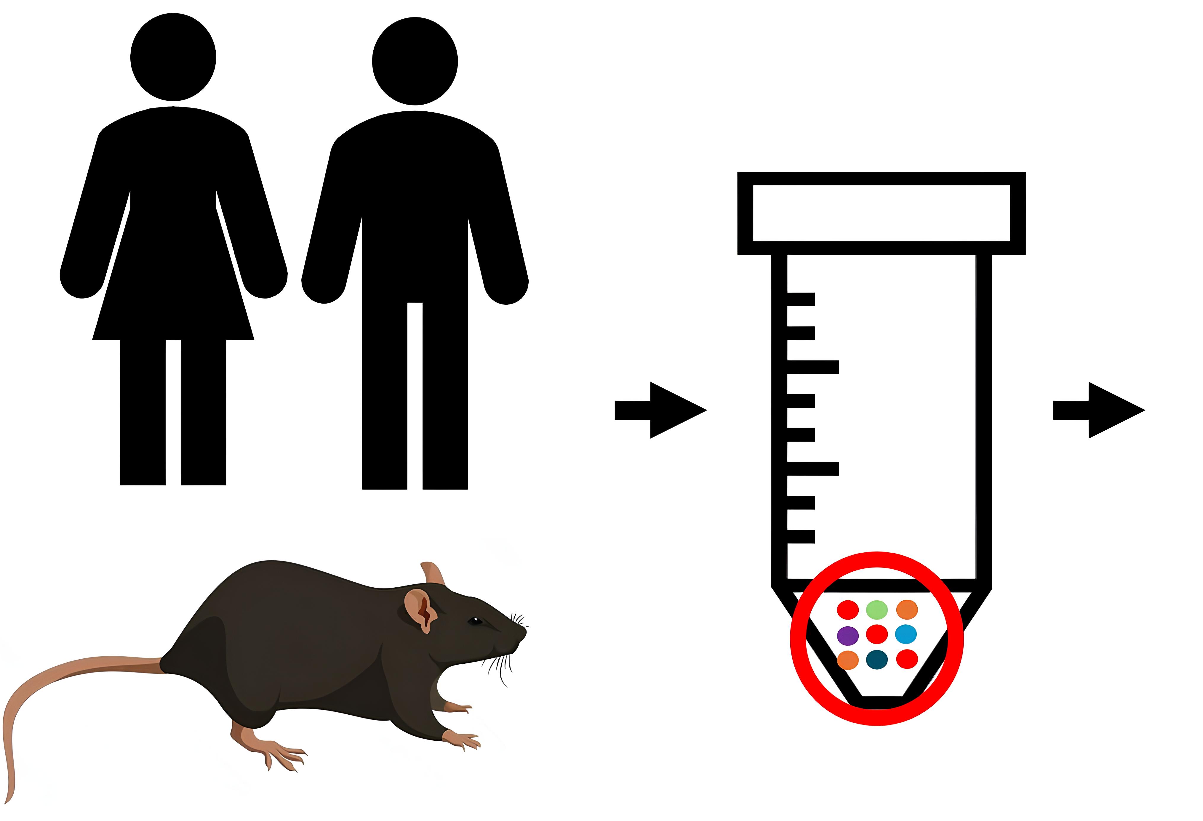 Description of image